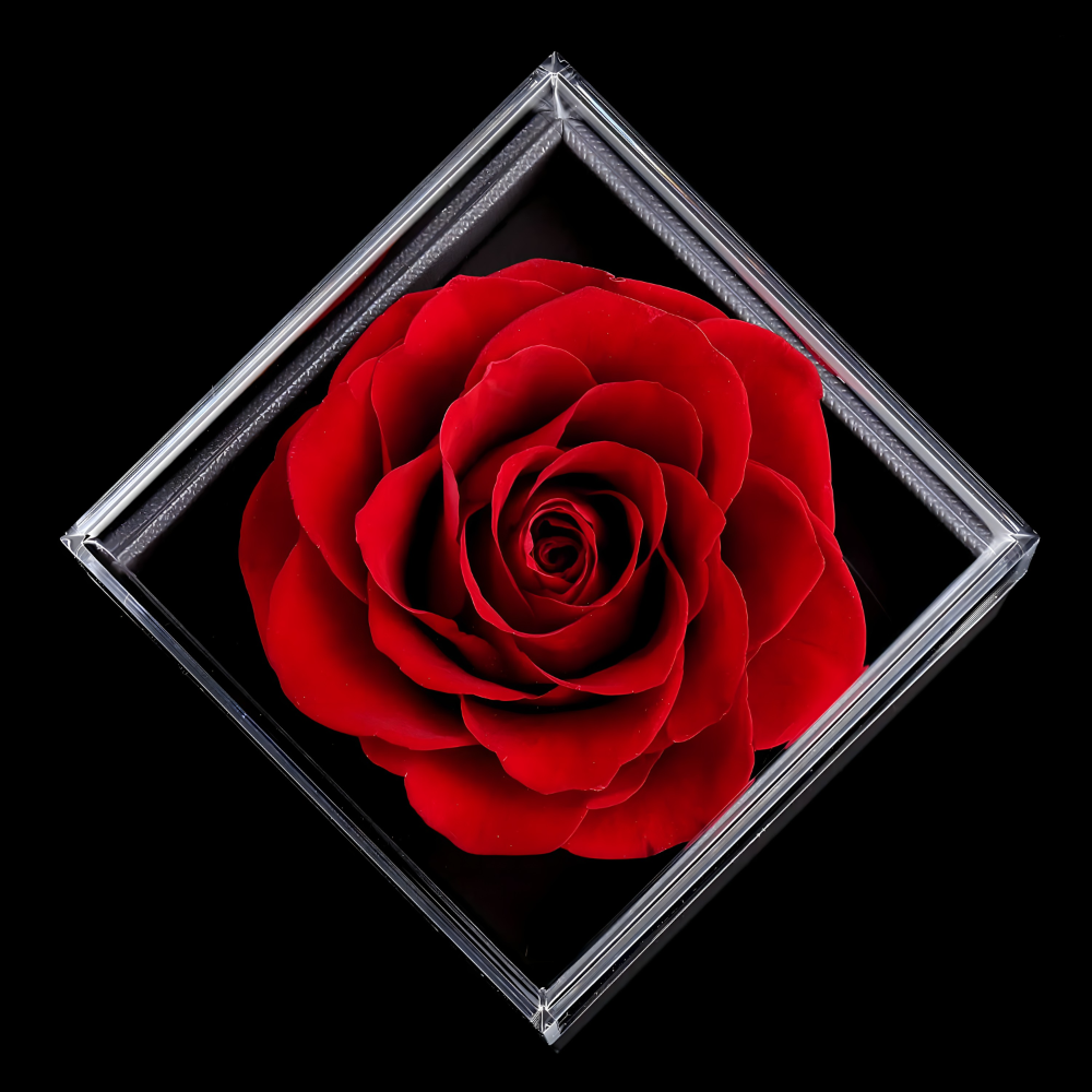 Ogrlica Volim te na 100 jezika - MNE Shop ME