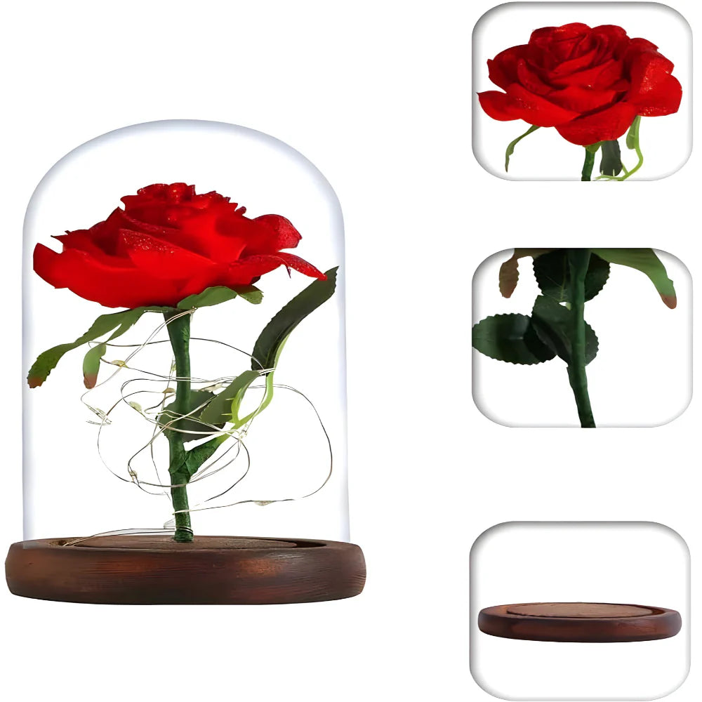 Vjecna svjetleca ruza u staklenom zvonu - MNE Shop ME