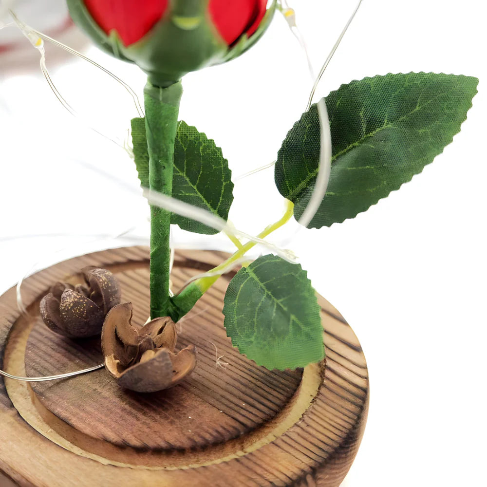 Vjecna svjetleca ruza u staklenom zvonu - MNE Shop ME