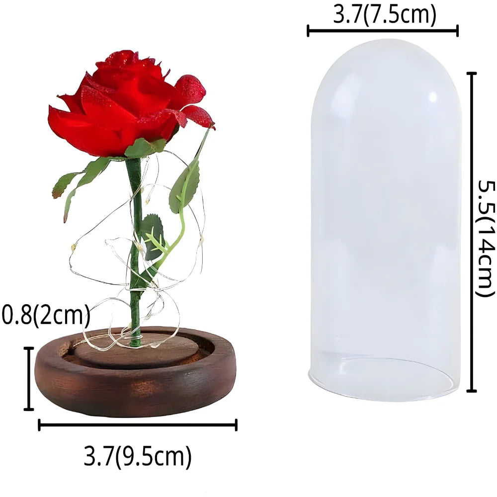 Vjecna svjetleca ruza u staklenom zvonu - MNE Shop ME