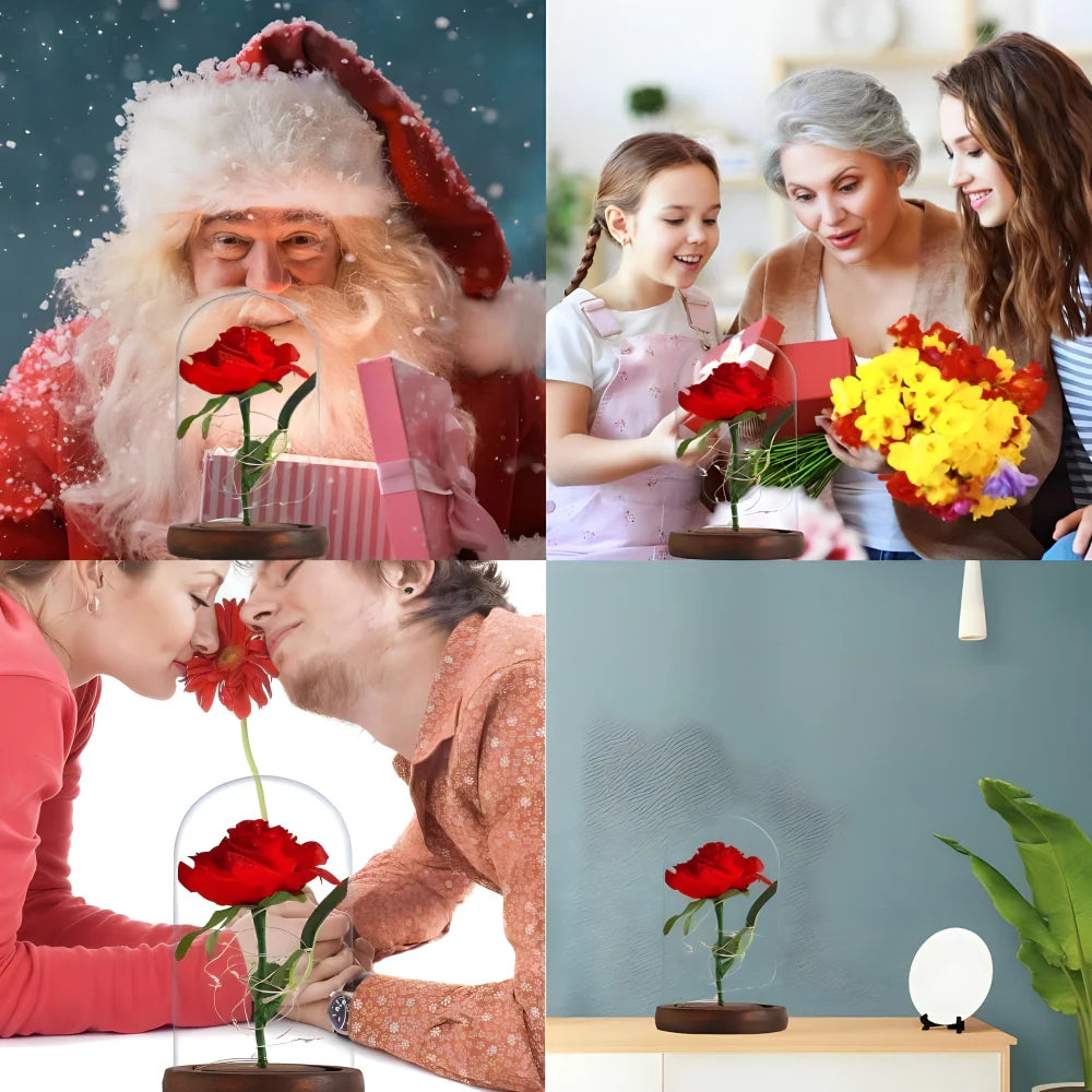 Vjecna svjetleca ruza u staklenom zvonu - MNE Shop ME