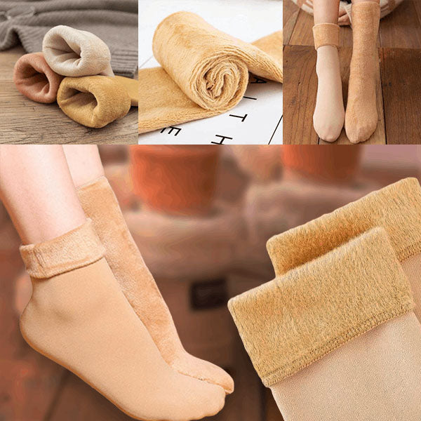 Termo čarape (8 pari) | VELVOCKS