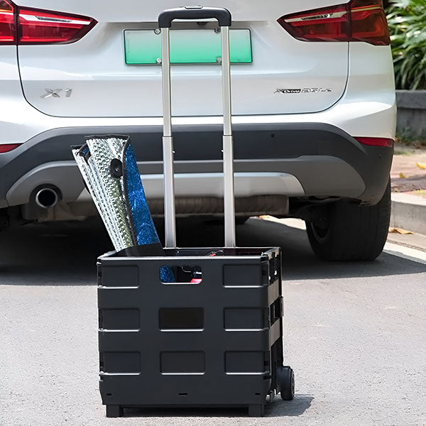 Multifunkcionalna kolica | CARRYMAX